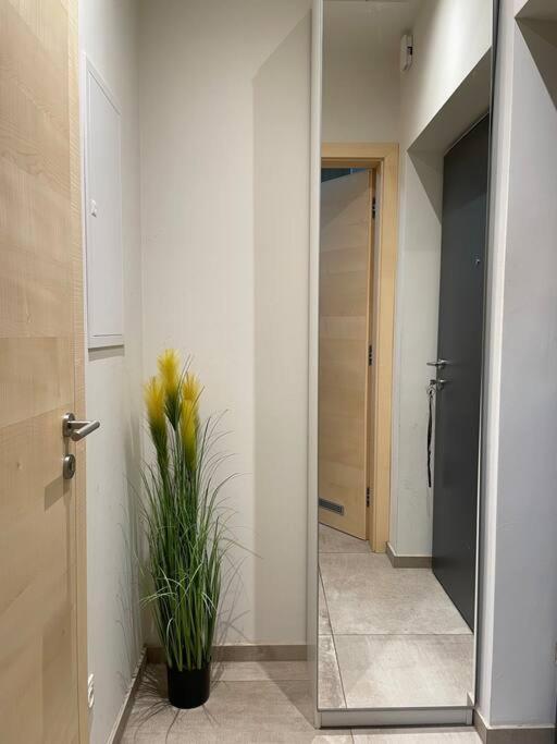 Gartenwohnung Mit Terrasse Und Parkplatz Graz Ngoại thất bức ảnh